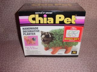  Chia Pet "Kitten" Planter