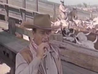  DVD 1963 John Wayne Western Maureen OHara Chill Wills