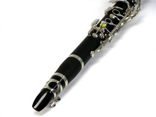 Have extra fun while learning the clarinet The clarinet has been