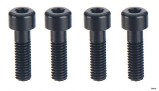 Formula R1/The One Ergal Screw