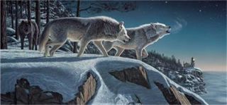 Kim Norlien Moonlight Prowlers Wolf Print 25 25 x 15 25
