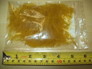 Cul de Canard CDC Feathers Bulk 1 to 4G Bags Fly Tying Materials