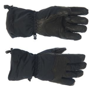 Dakine Apollo Snow Gloves 2010/2011