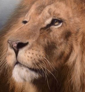 African Lion Original Rachel Stribbling Oil Painting