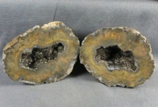 Mexican Coconuts Crystal Geodes Sliced Halves Display lapidary