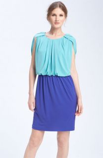 Donna Ricco Colorblock Blouson Dress
