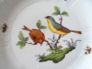 herend porcelain rothschild bird dinner plates 10