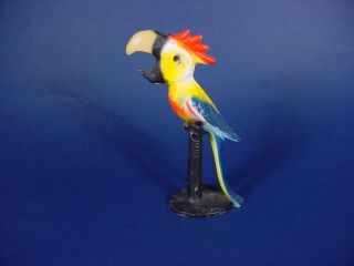   WRIGHT PAINTED CAST IRON PARROT MACAW BIRD BOTTLE OPENER RARE COND