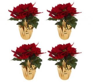 Set of 4 15 Poinsettia Plants —