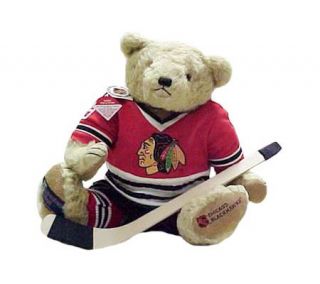 Cooperstown Bears Chicago Blackhawks NHL Blue Line 21 Bear —