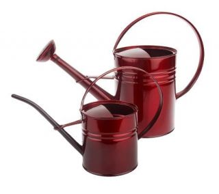 Set of 2 Galvanized Watering Cans —