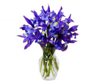 Beautiful Blue Iris with Vase by ProFlowers —