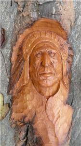 COTTONWOOD CARVING SPIRIT NATIVE AMERICAN INDIAN head dress # 912 made