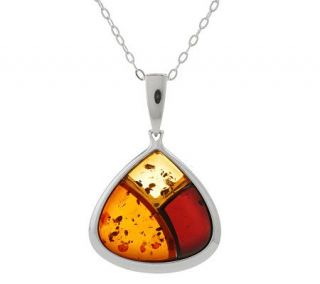 Colors of Baltic Amber Inlay Design Sterling Pendant w/Chain   J268647