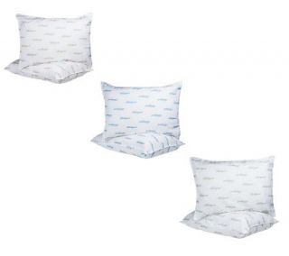 Beautyrest Natureloft Set of 2 Specialty Sleep Std/QN Pillows