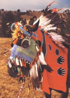 Native American Indian Horse Masks by Mike Cowdrey, Ned & Jody Martin