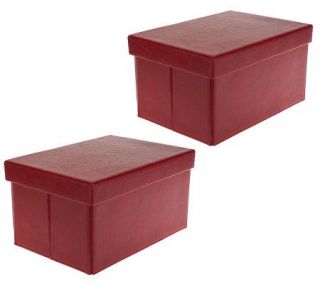 Small Collapsible Faux Leather Storage Boxes by Valerie — 