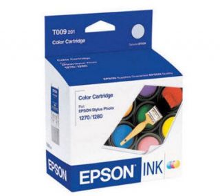 Epson T009201 Color Ink Cartridge   E207272