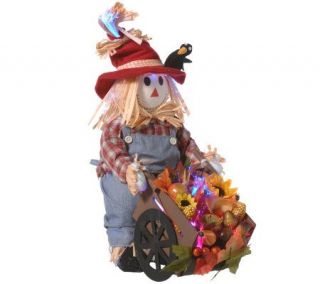 16 Fiber Optic Battery Operated Scarecrow —