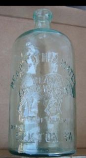  RARE Bear Lithia Water Elkton VA Virginia Bottle