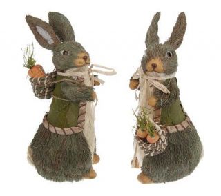 Set of 2 Natural Grass Bunnies with Jackets by Valerie —