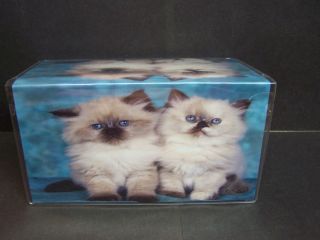 Two Siamese Kittens Cats So Adorable 1 Checkbook Cover