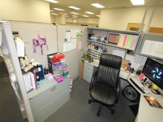 Large Lot of Haworth Office Cubicles Desks Cabinets Workspace Taken