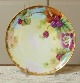 Arcy s Haviland Limoges Porcelain Plate with Hand Painted
