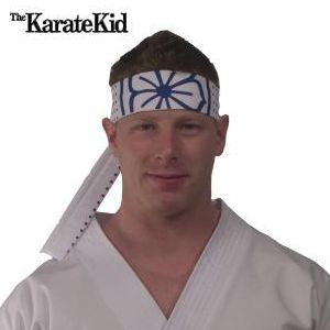 This headband will have you looking just like Daniel Larusso or Mr