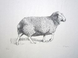 Henry Moore Signed 1974 Original Lithograph Sheep Walking