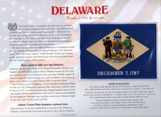 Delaware State Flag Willabee & Ward Patch & Panel