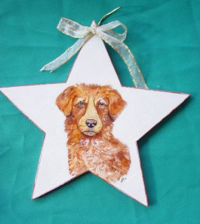 Nova Scotia Duck Toller Dog Star Ornament Handpainted