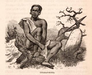  Engraving Africa Unamapokera Tribe Native Spear Hunter Field Savanna