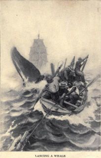 Moby Dick, written in 1851, recounts the adventures of the narrator
