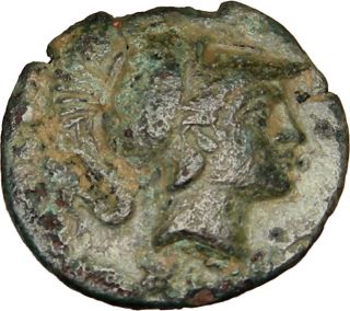  Odyssey Hero Telephos Tegea Doe Genuine Ancient Greek Coin RARE