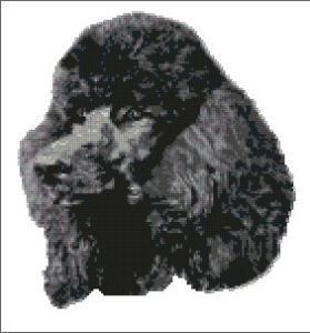Poodle Dog Complete Counted Cross Stitch Kit 10 x 12