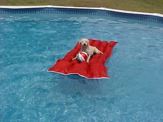  RED Recyclers Raft canvas swimming pool float 4 KIDS DOGS ADULTS PETS