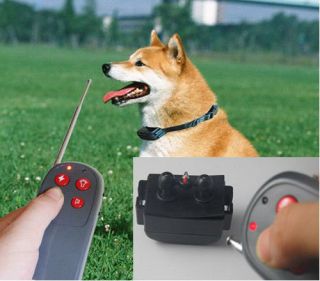 Training Collar Remote Pet Training Vibra Electric Shock Collar CE Dog