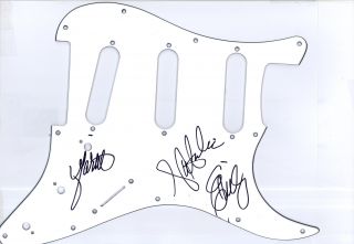 Dixie Chicks Signed Autograph Guitar Pickguard by All 3