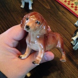  Vintage Ceramic Dog Figurines