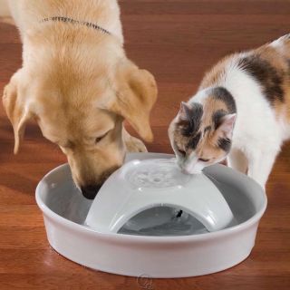  128 Ounce Ceramic Pet Water Drinking Fountain for Dog Cat AC Powered