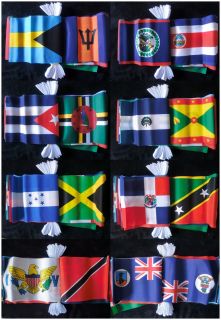 Caribbean Multi Nation 9 Metre Flag Bunting 30 Flags Jamaica St Lucia