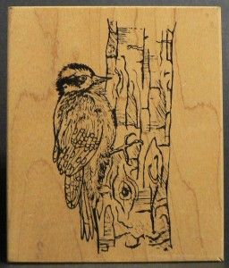 BIRD DOWNY WOODPECKER ON TREE TRUNK rubber stamp BY NORTHWOODS