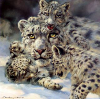 Donald Grant Snow Leopard s N Offset Lithograph