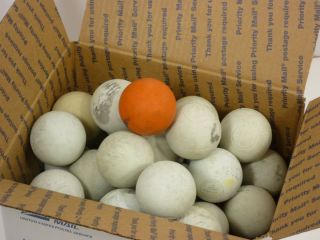  Lot of 31 Used Lacrosse Balls Maverik and Others