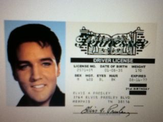 Elvis Presley Drivers License for Halloween Costume