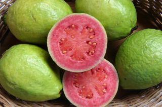 Guava Psidium Guajava Tree Seeds Edible Fruit Fast Growing
