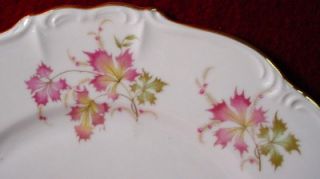 Edelstein China Autumn Leaves pttrn Soup Salad Bowl