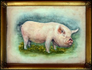 American Folk Art Watercolor of A Pig Signed and Dated 1941