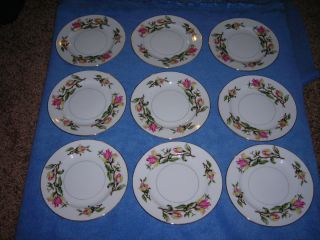 Encino by Hira Japan 6 3 8 bread and butter dishes plates nine 9